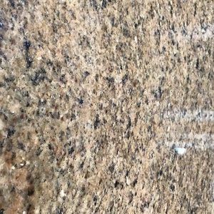 Meet your Posher, Jonique